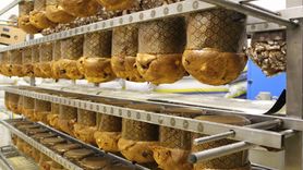Panettone – sweet Christmas tradition