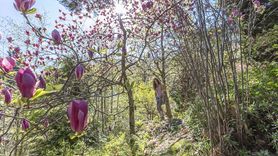 Primavera al Lago Maggiore