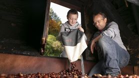 Le castagne e la grà