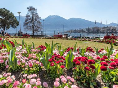 Locarno, la ville des fleurs