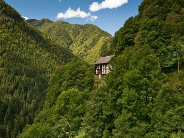 Entre forêts et parfum de pop-corn