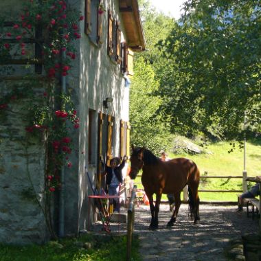 Bauernhöfe in Vallemaggia