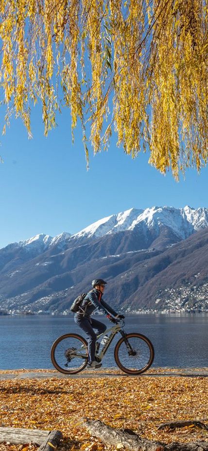 /site-al/Immagini/Ascona-e-dintorni/ascona-inverno-arte-1.jpg