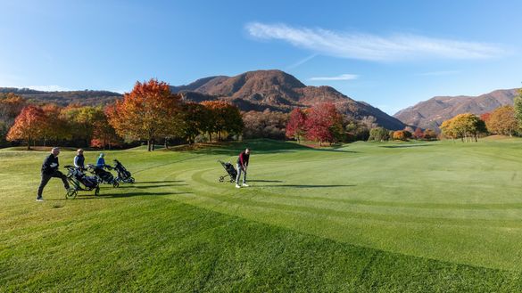 Losone (golf)