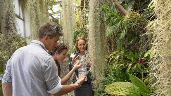 Guided Tours at Lago Maggiore