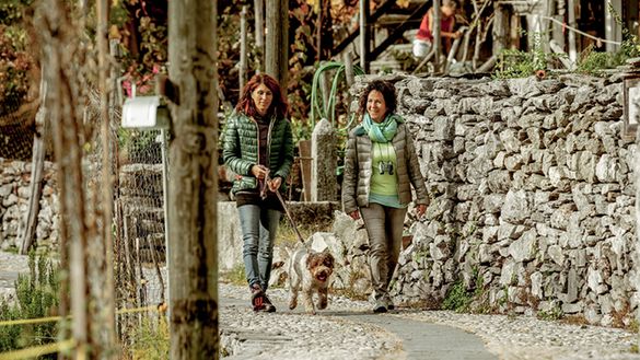 Vacanze a 4 zampe