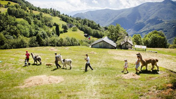 Trekking with llamas on Monte Comino