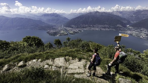 Consiglio d'amministrazione e direzione