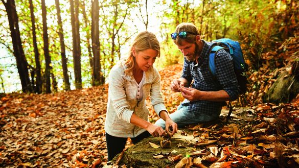 Die schönsten Herbst-Traditionen