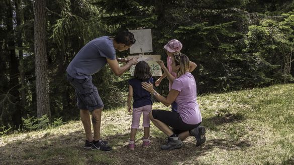 Forfaits spéciaux au Lac Majeur