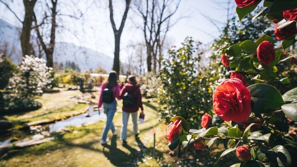 Frühling am Lago Maggiore