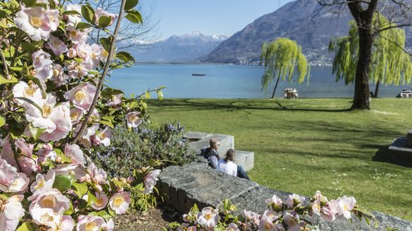 Locarno, the city of flowers