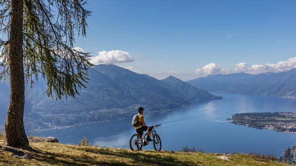 Monti Motti Bike – conçu pour le plaisir