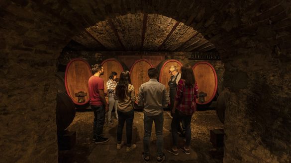 Balade à travers caveaux et vignobles