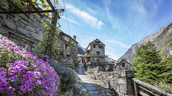 Case di vacanza in Ascona-Locarno