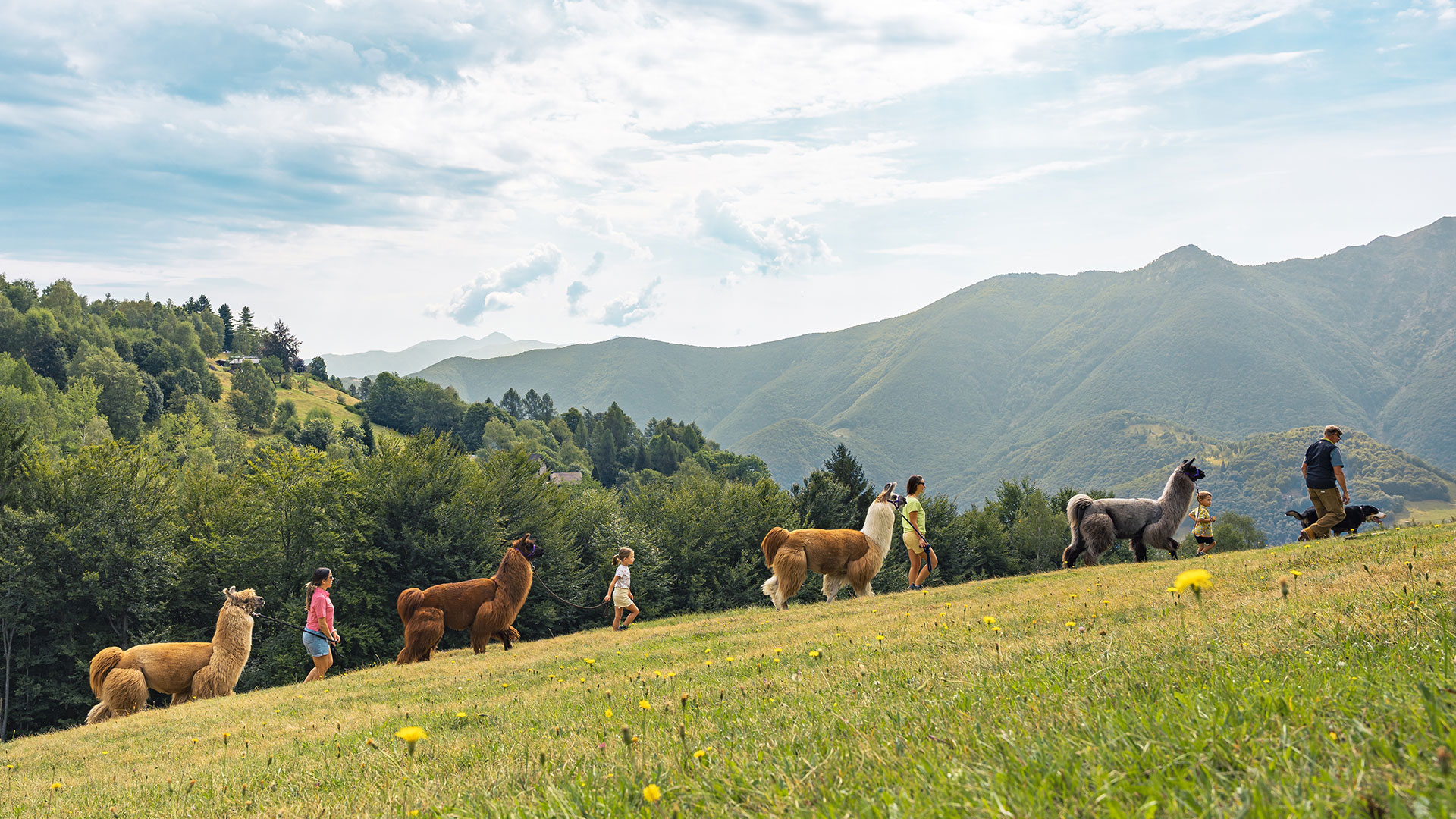 Fare trekking con i lama sul Monte Comino