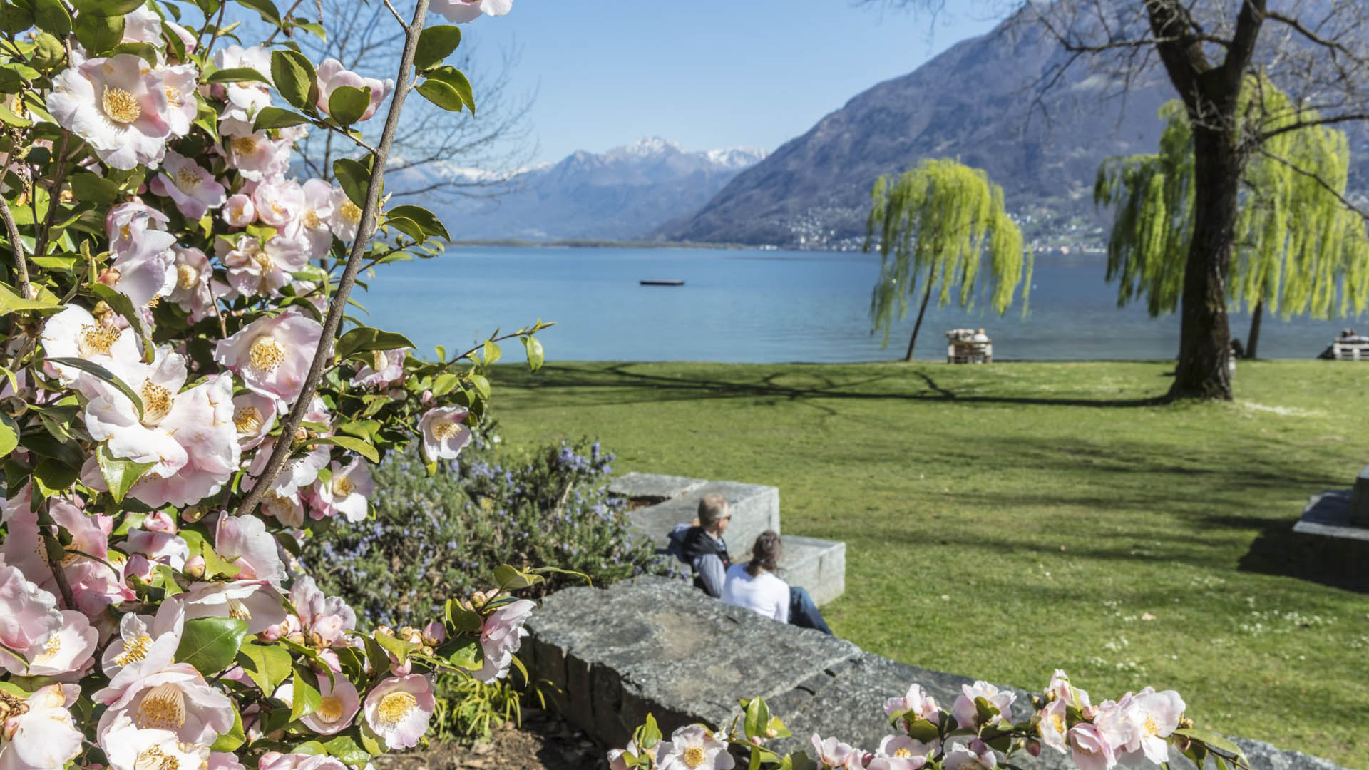 Locarno, the City of Flowers