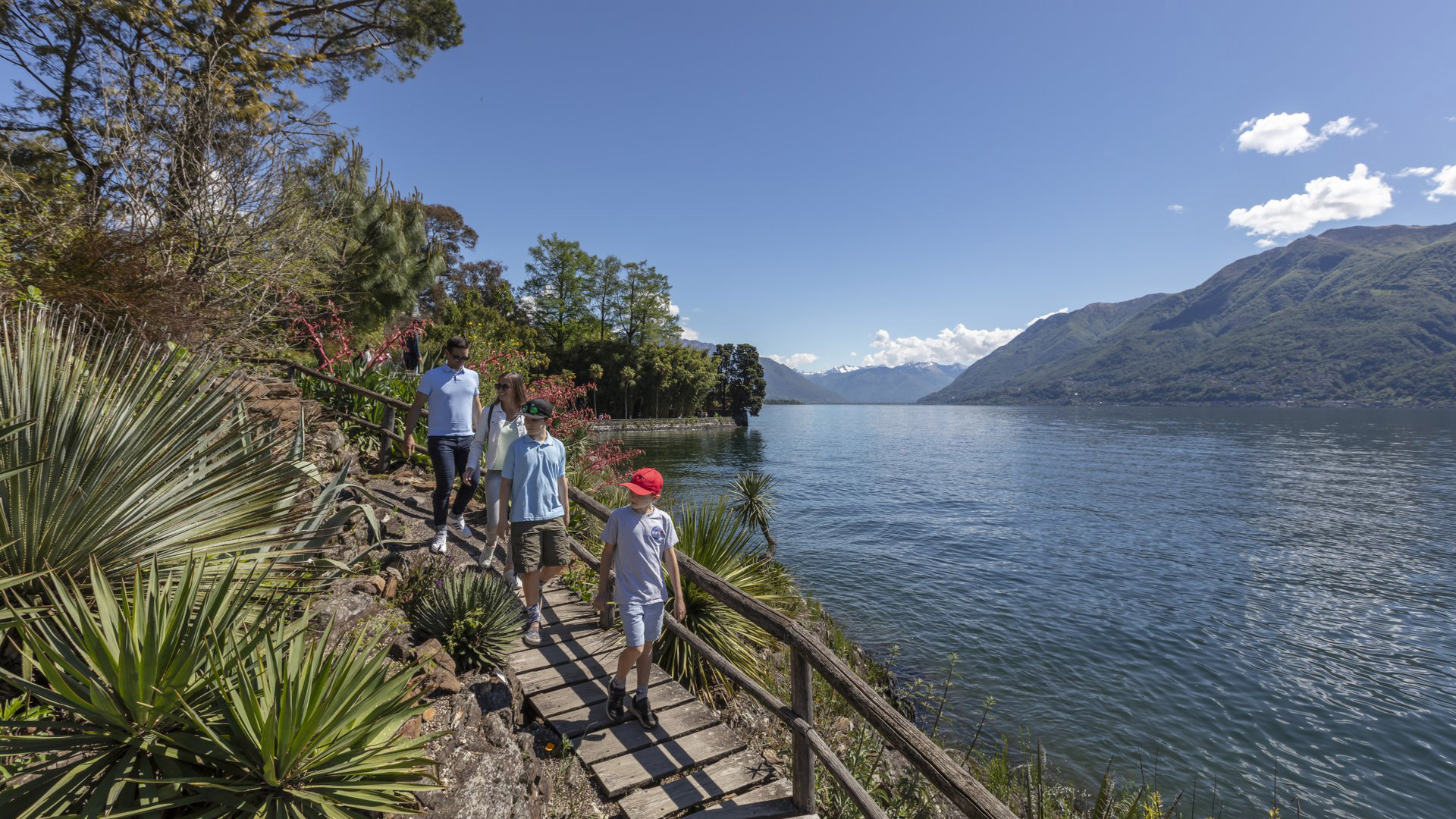 An adventure island for the whole family