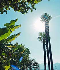 Generali Run The Sun