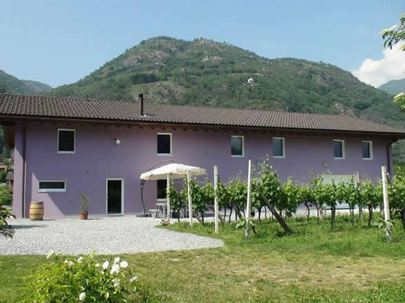 Cantina Hefti vini