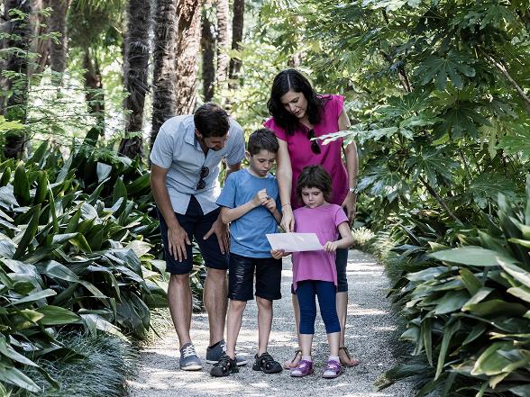 Treasure hunt - Brissago Islands