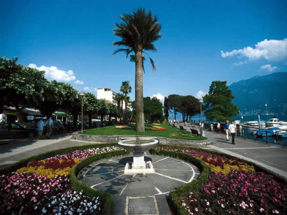 Die Gärten an der Seepromenade Locarno - Muralto