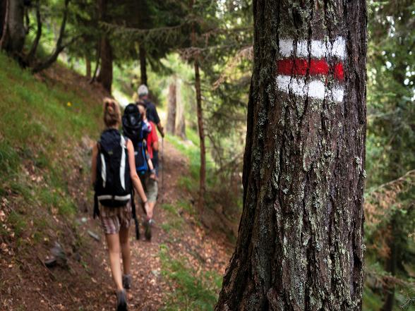 Escursioni guidate Valle di Lodano