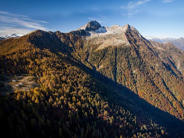 Réserve forestière Valle di Lodano