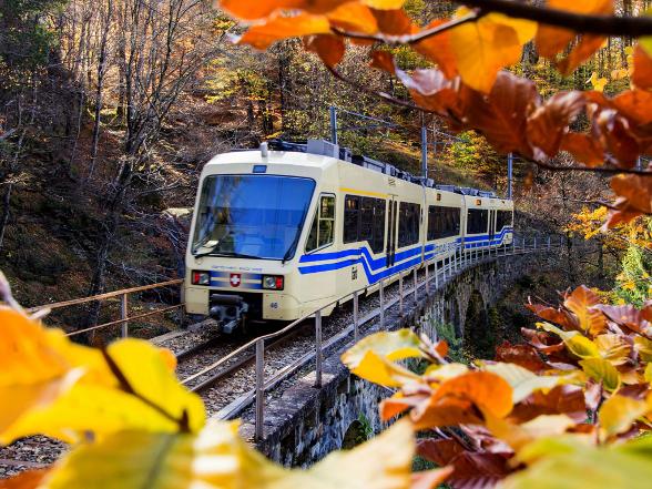 Train du Foliage