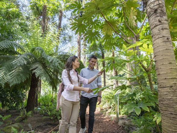 The Brissago Islands - Botanical garden