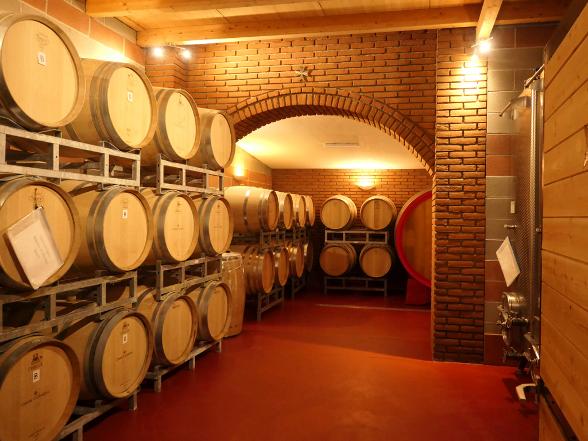 Cave vinicole il Cavaliere 