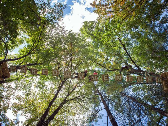 Parc aventure - Seilpark Gordola