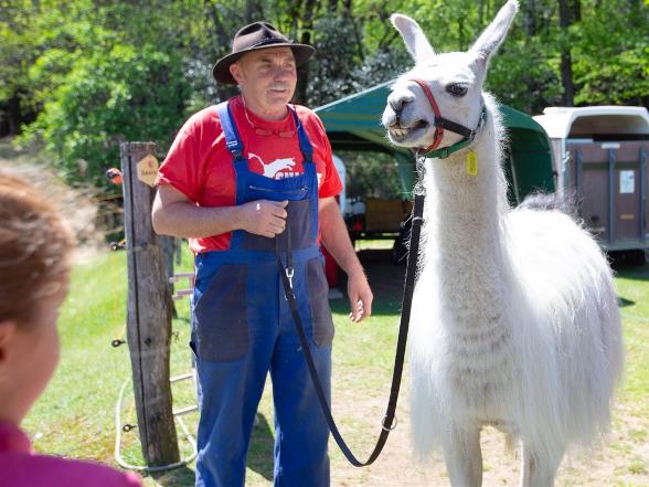Lama Trekking